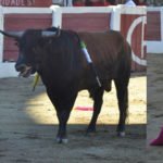 lobato-px