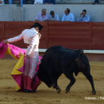 Garrido por gaoneras. (FOTO: Antonio J. Pérez)