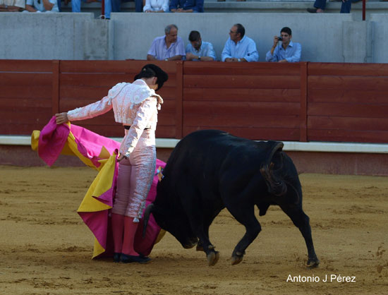 Garrido por gaoneras. (FOTO: Antonio J. Pérez)