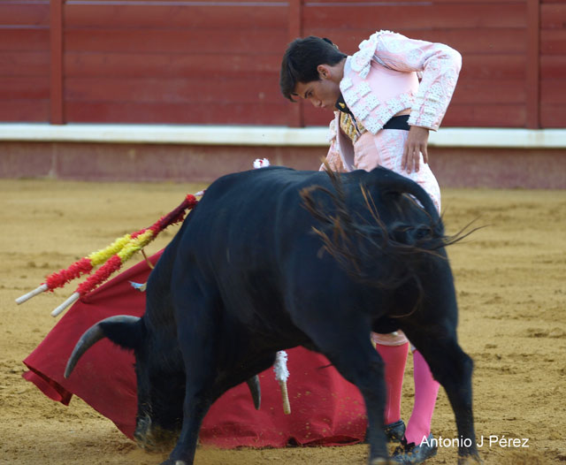 José Garrido.