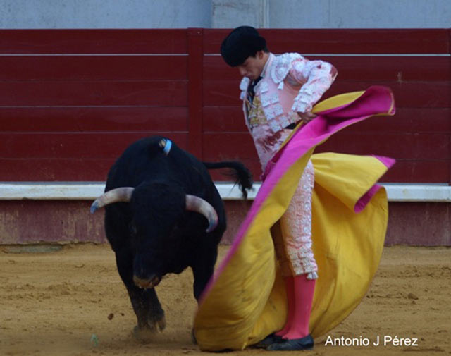 José Garrido.