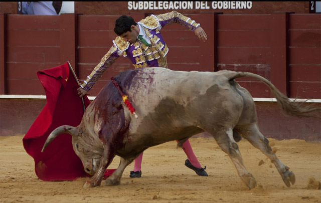 Talavante interpretando su pase más genuino a 'Enemigo' en el ruedo de La Malagueta. (FOTO:Joaquín Bueno-mundotoro.com)