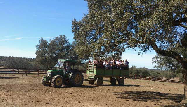 Los peñistas conducidos en su visita a la ganadería.