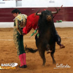 Ceñidas bernadinas para abrochar la faena. (FOTO: Gallardo)