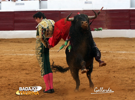 Ceñidas bernadinas para abrochar la faena. (FOTO: Gallardo)