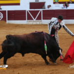 Talavante al natural. (FOTO: Gallardo)