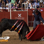 Dávila Miura.