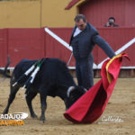 Pepe Elbal toreando al natural. (FOTO: Gallardo)