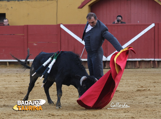 Pepe Elbal toreando al natural. (FOTO: Gallardo)