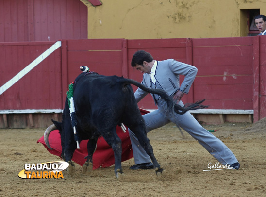 Jesús Márquez doblándose con su novillo. (FOTO:Gallardo)