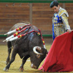 tcampos-arnedo