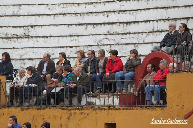 Los socios y socias de la Peña en el tendido.