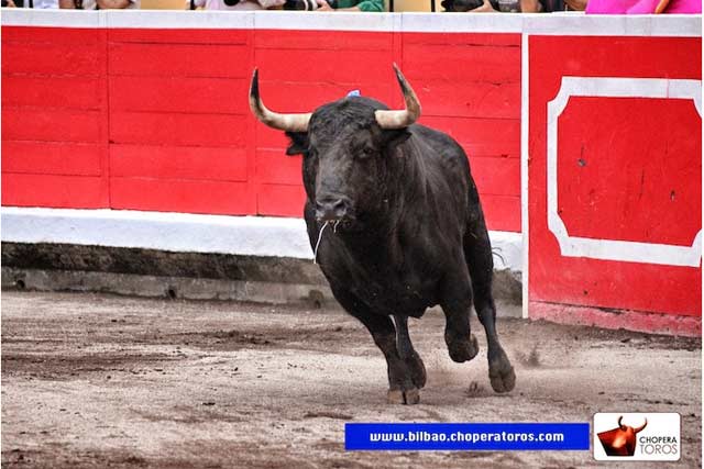 ...en las principales ferias (FOTO: choperatoros.com)