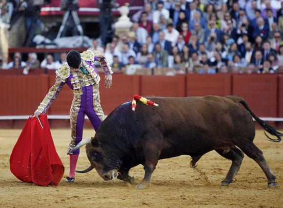 Talavante e 'Histórico', en La Maestranza el 25 de abril (FOTO:lamaestranza.es)