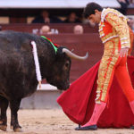 Talavante ante ‘Murcianito’ de Adolfo Martín en 2008 en Madrid. (FOTO: Juan Pelegrín)