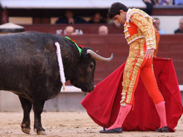 Talavante ante 'Murcianito' de Adolfo Martín en 2008 en Madrid. (FOTO: Juan Pelegrín)