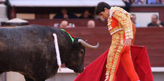 Talavante ante 'Murcianito' de Adolfo Martín en 2008 en Madrid. (FOTO: Juan Pelegrín)