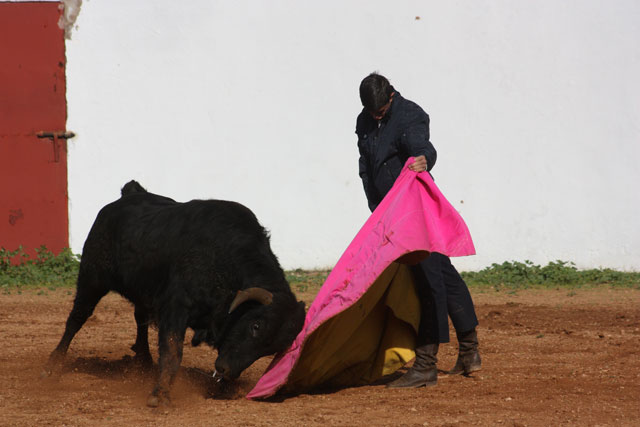 Alejandro Fermín.