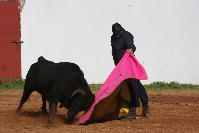 Alejandro Fermín.