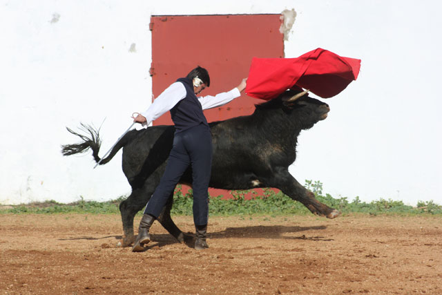 Alejandro Fermín.