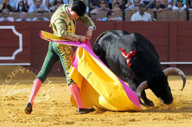 Lanceando de recibo al juampedro de su 3er paseíllo maestrante. (FOTO:López-Matito)