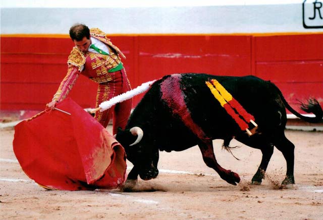 Muletazo a un novillo en la plaza de Pachuca. (FOTO: CEDIDA)