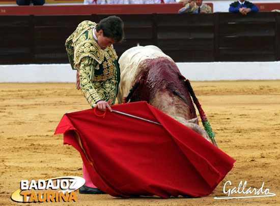 Muy encajado el día de su debut con caballos en Olivenza. (FOTO:Gallardo)