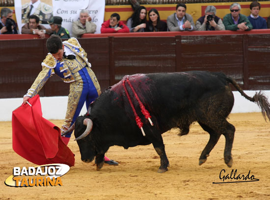 Muletazo al novillo de su debut en Olivenza. (FOTO:Gallardo)