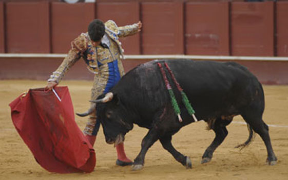 10/08/12 Málaga. (FOTO: Joaquín Bueno-choperatoros.com)