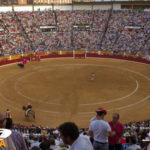 llenazo