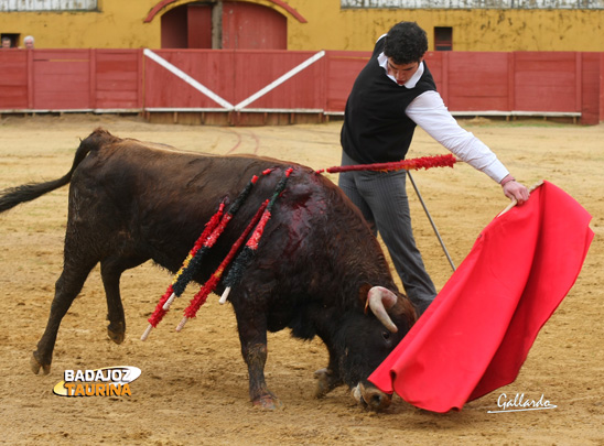 Curro Linares.