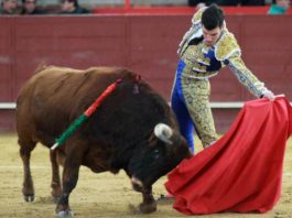 Tomás Campos en Valdemorillo. (FOTO: Pablo García-mundotoro.com)