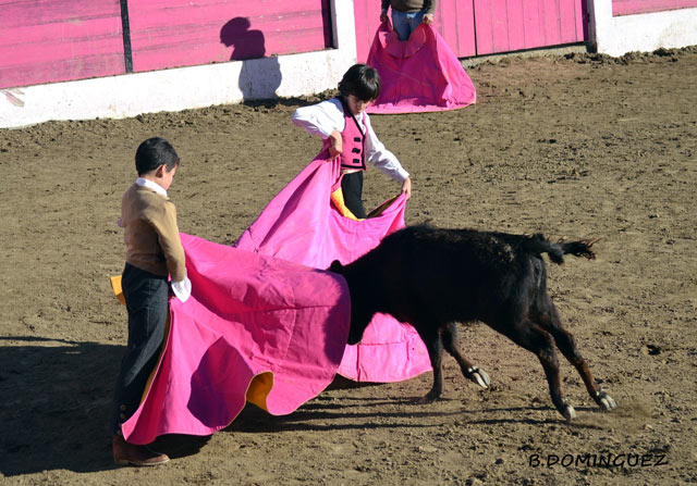 Chicuelinas al alimón. 