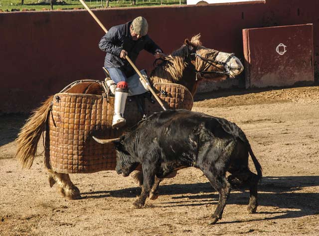 Dionisio sujetando al novillo en el peto.