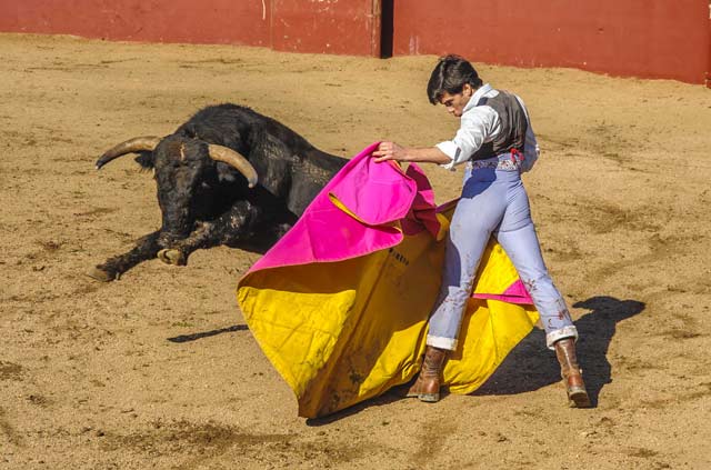 Jose Garrido.