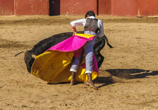 Jose Garrido.