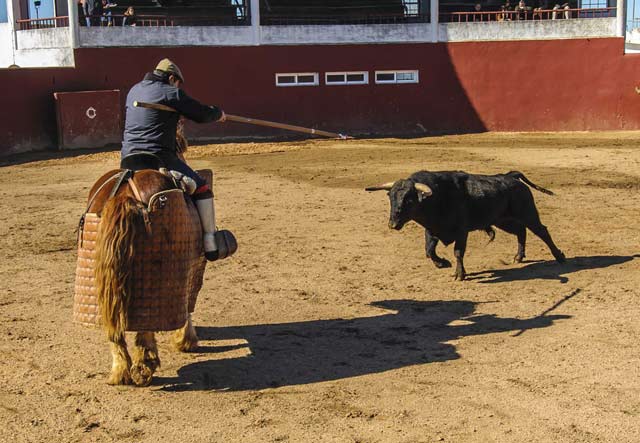 Novillo arrancándose al caballo que monta Dionisio Grilo.