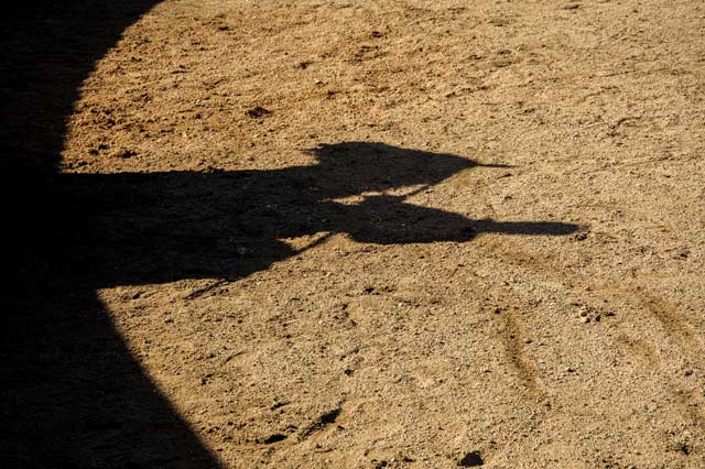 La marca de toda tienta: caballo, hombre y vara.