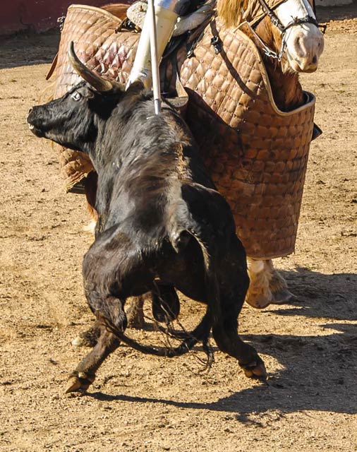 Romaneando en el caballo.