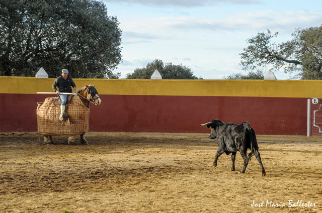 ...a punto de tirar el palo...