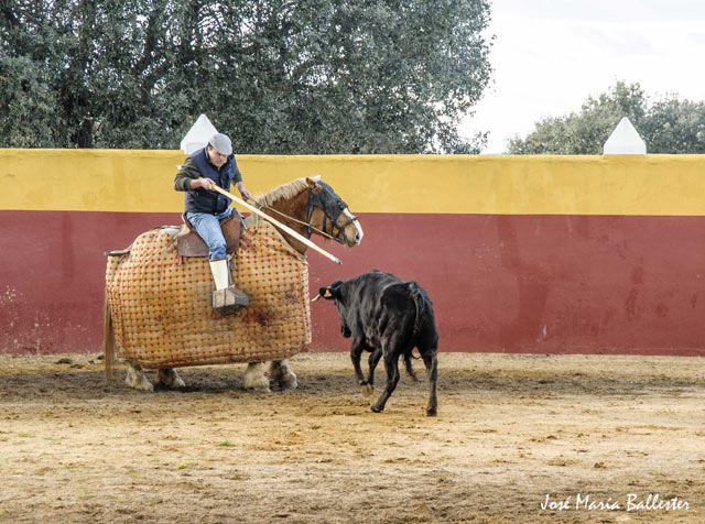 ...y de sujetar a la res en el peto.