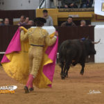 Morante persiguiendo al que devolvieron por manso. (FOTO:Gallardo)