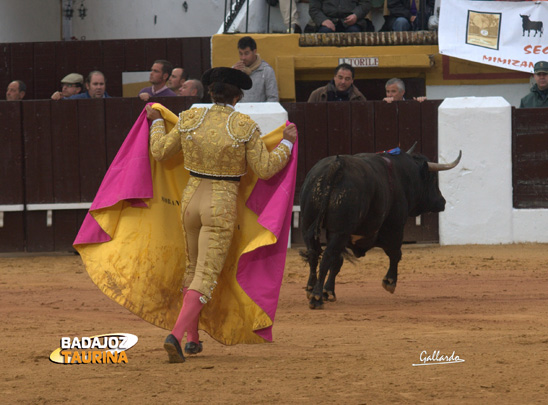 Morante persiguiendo al que devolvieron por manso. (FOTO:Gallardo)