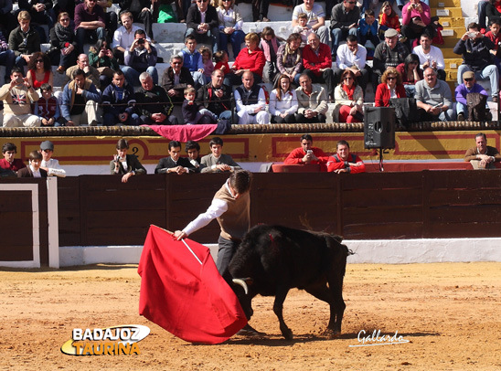 Actuando en la última de las vacas tentadas.