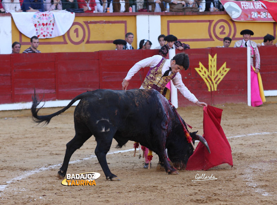 José Garrido.