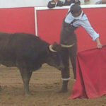 lanchovaca