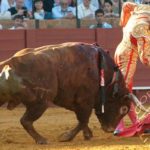 pererasevilla17px