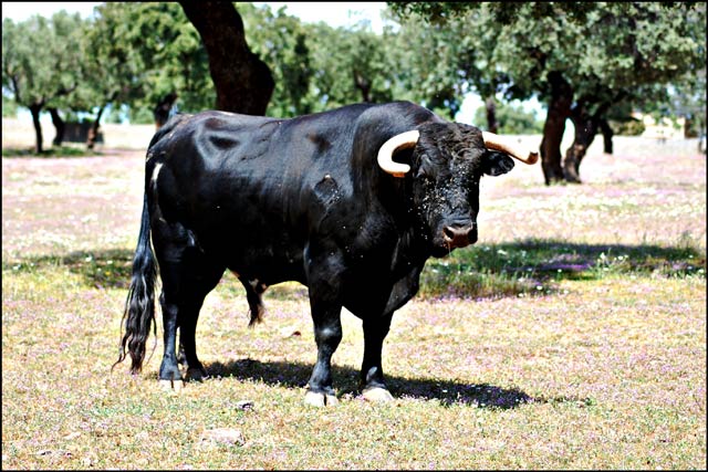 El Quintanar