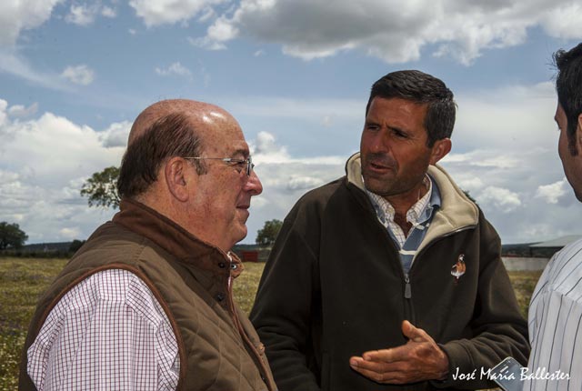 Curro Carrillo jugándosela al 24. (FOTO: JM Ballester)