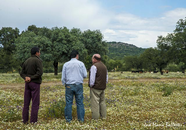 El imponente marco de la finca 'Los Espartales' (FOTO: JM Ballester)